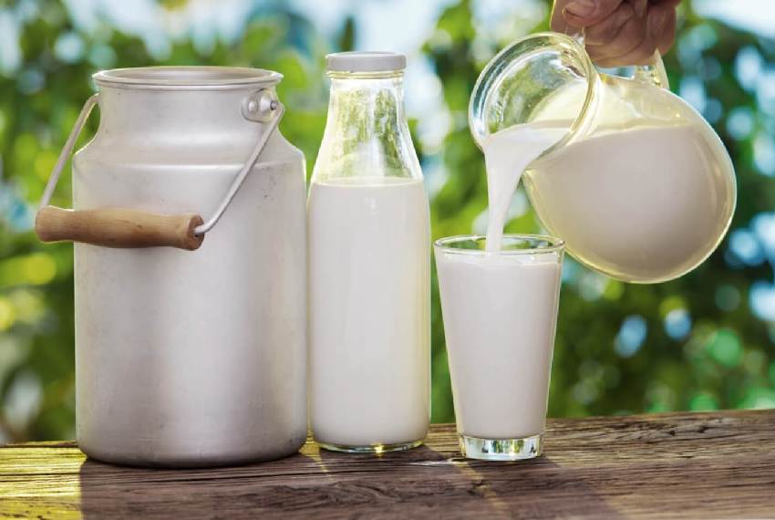 Kyrgyzstan’s dairy trade deficit reaches $12.8 million as Kazakhstan buys $13.6 million