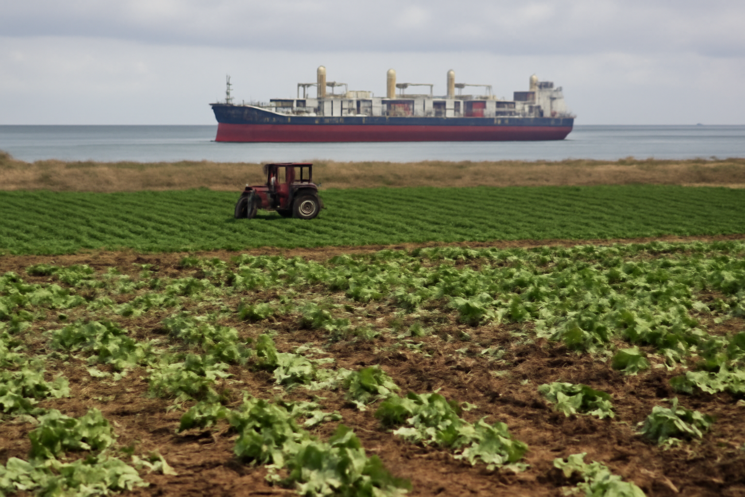 Lebanon's agriculture sector counts more than $1 billion in war losses, An-Nahar reports