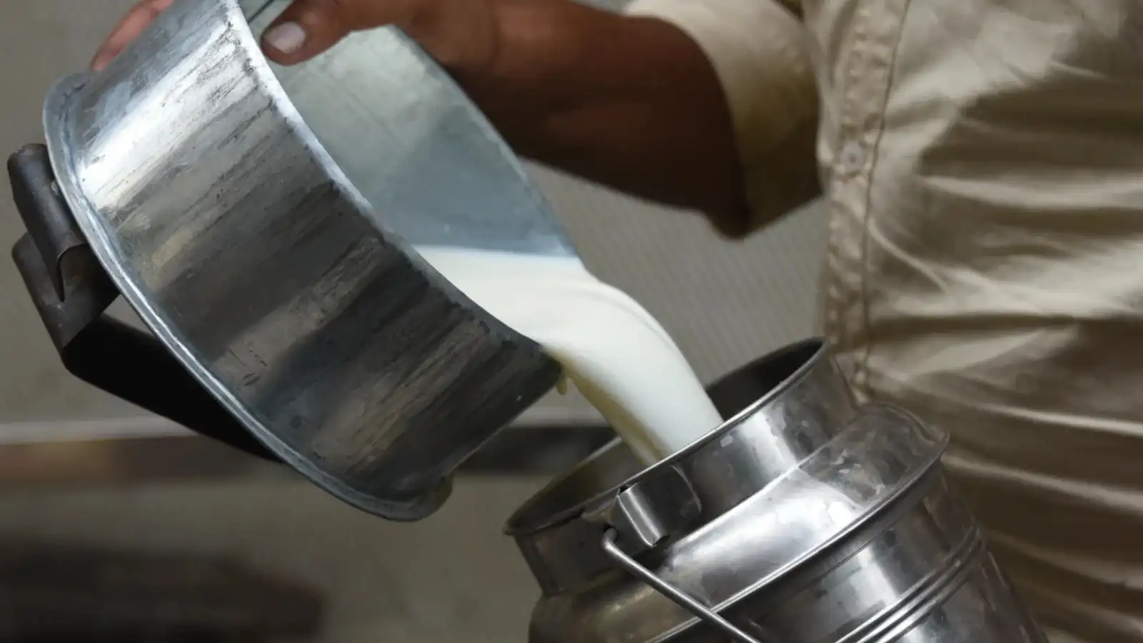 Maharashtra dairies raise milk prices by ₹2 per litre from August 11