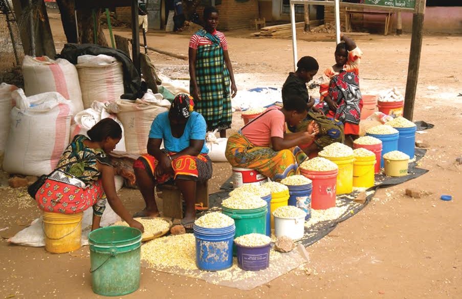 Malawi maize prices rise 8% as food stocks tighten before lean season