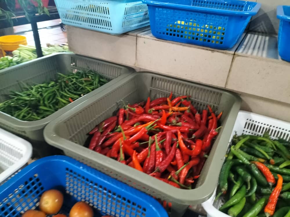 Produtores de pimenta da Malásia dizem que importações da China e do Vietnã atingem 4.000 agricultores