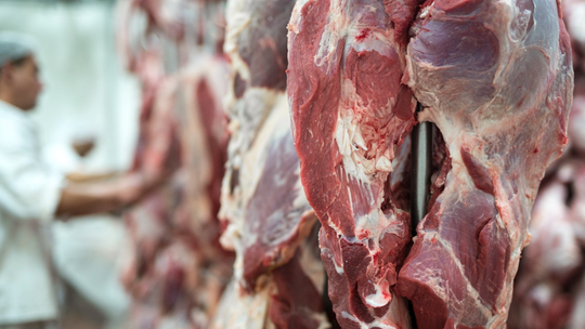 Mato Grosso beef exports reach 88 countries and generate $2.4 billion in first half of 2026