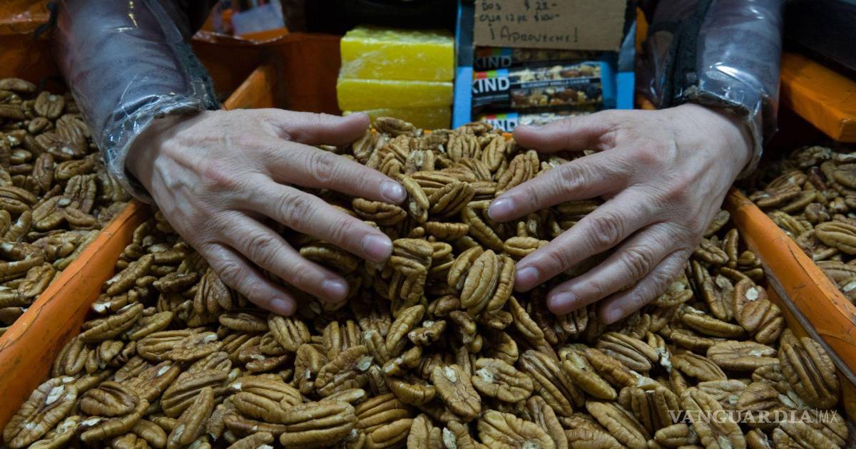 Mexican pecan growers seek US and European buyers after China imposes tariffs