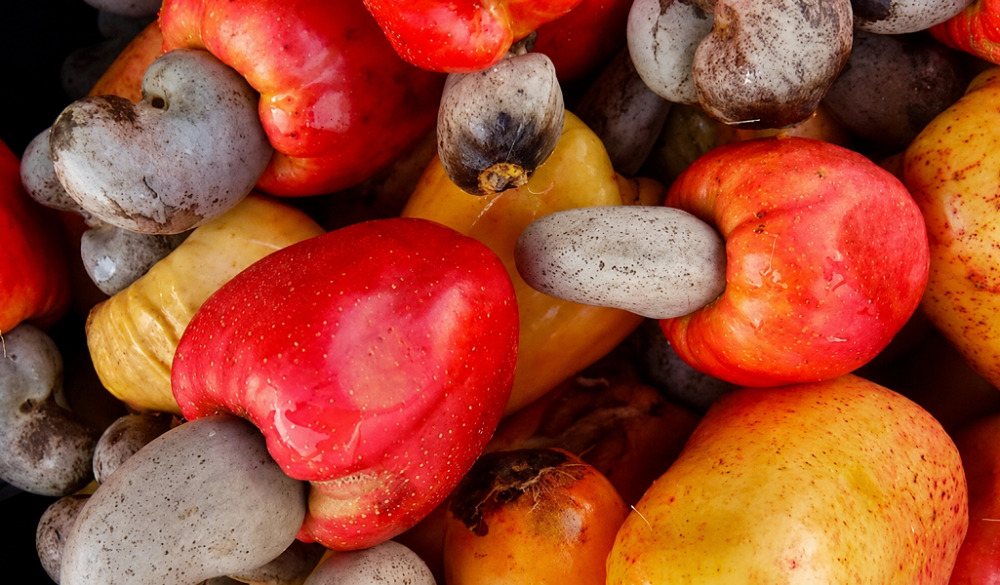 Nigeria targets 1 million tonnes of cashew production by 2036