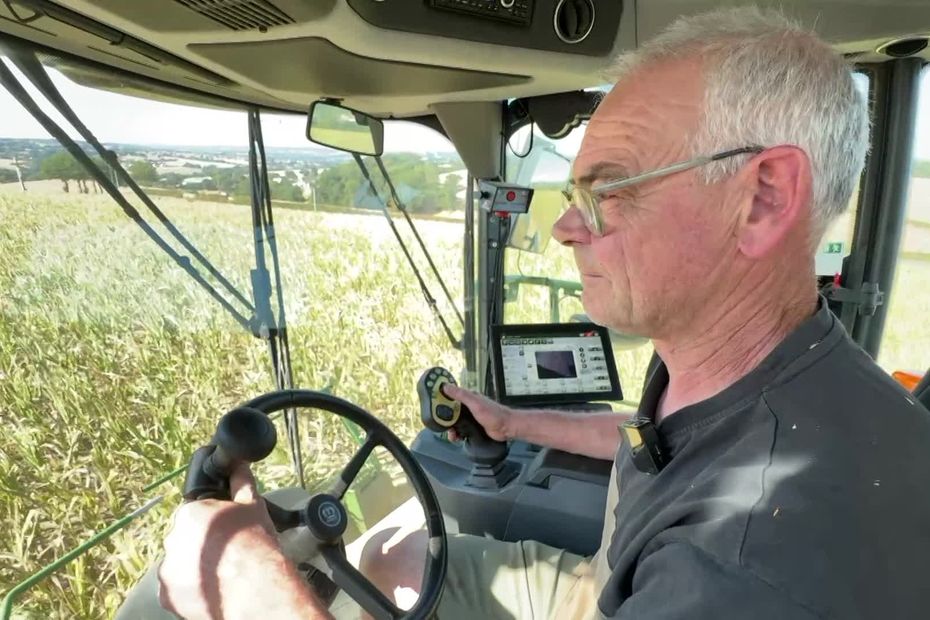 Normandy maize yields fall by up to 70% after heat and drought