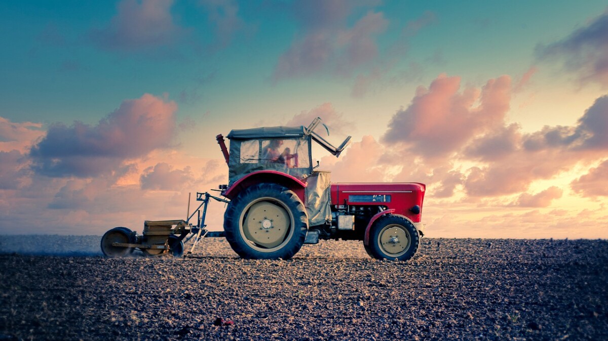 Peru’s farm sector grows 1.2% as pecan, blueberry and poultry output rises