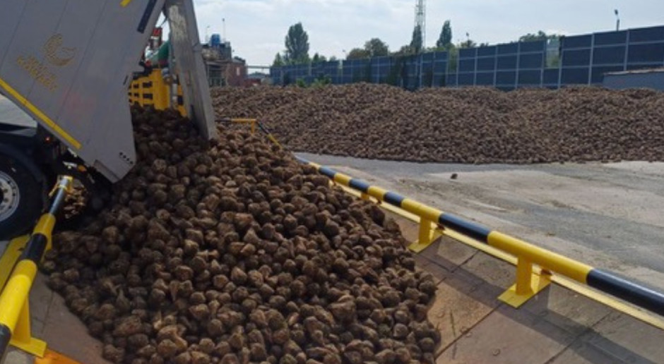 Pfeifer & Langen inicia safra açucareira polonesa com previsão de queda na produção