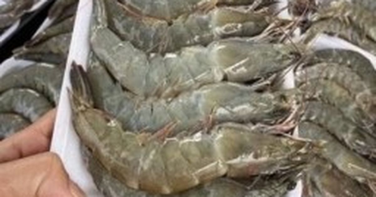 Polish food companies explore Vietnamese shrimp and pepper supplies