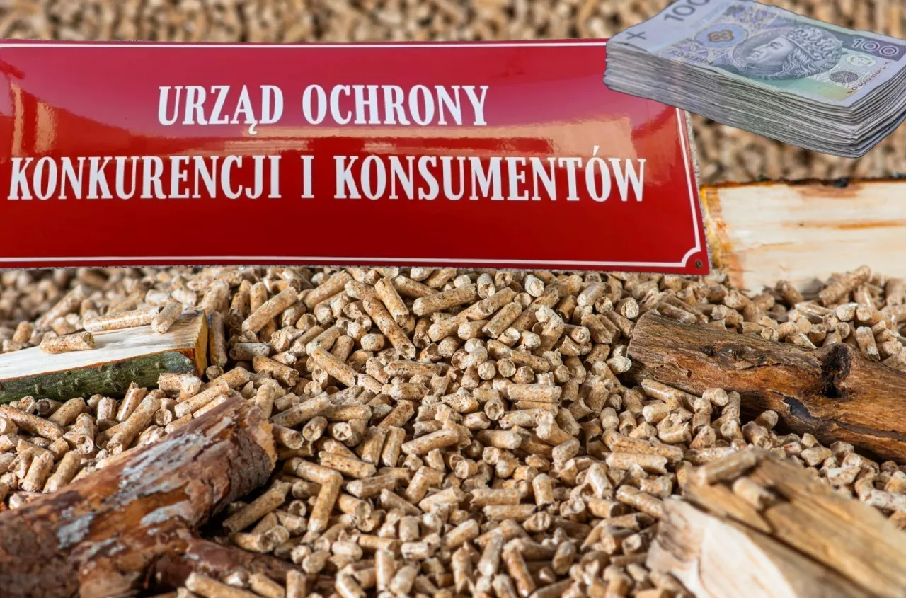 Polish pellet prices rise as wood supply fails to match heating demand
