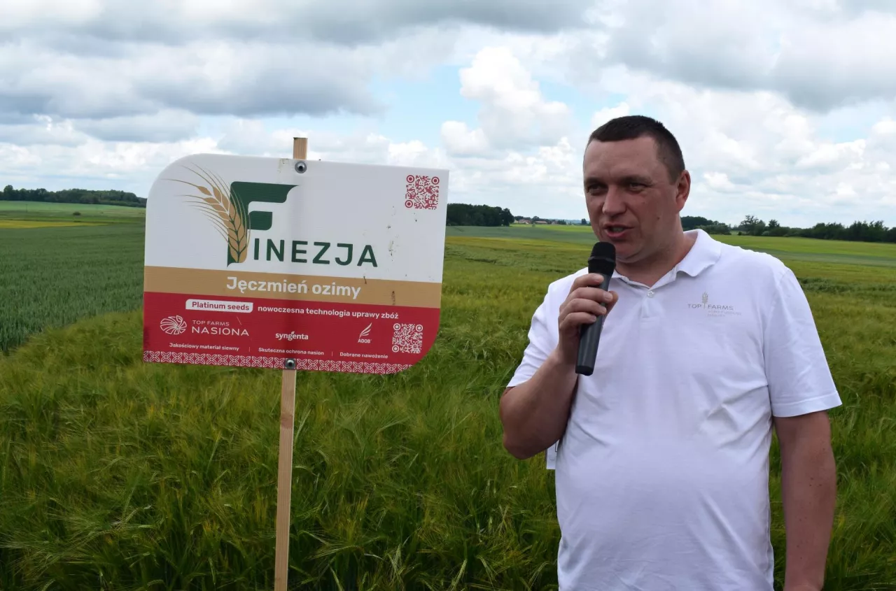 Polish Winter Barley Yields Fall as Cultivated Area Expands to 463,000 Hectares