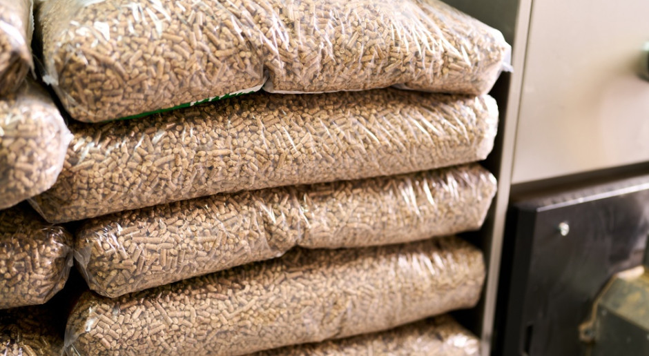 Polish wood pellets reach German buyers at prices below Polish retail levels