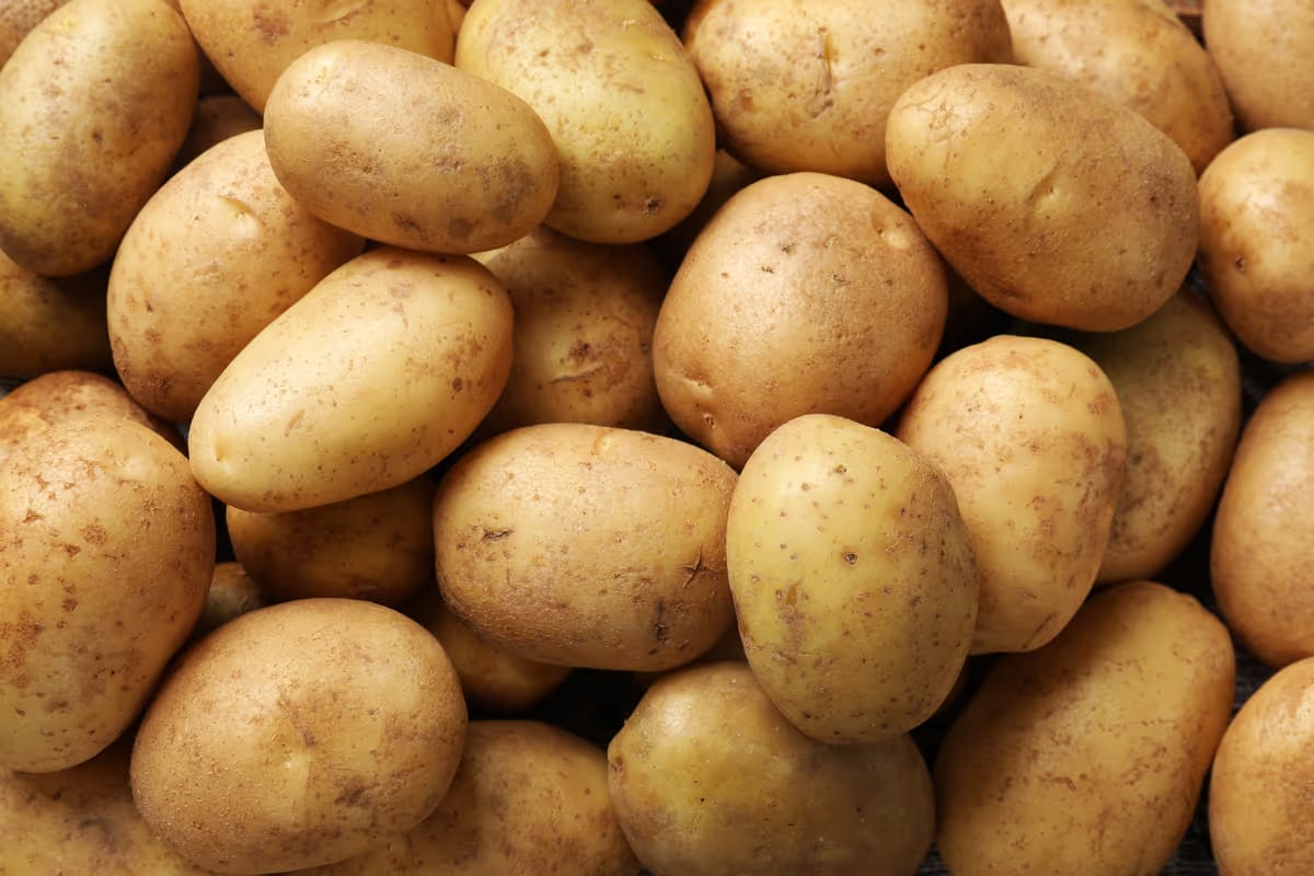 European processing potato prices rebound, raising cost risks for Italy’s food sector