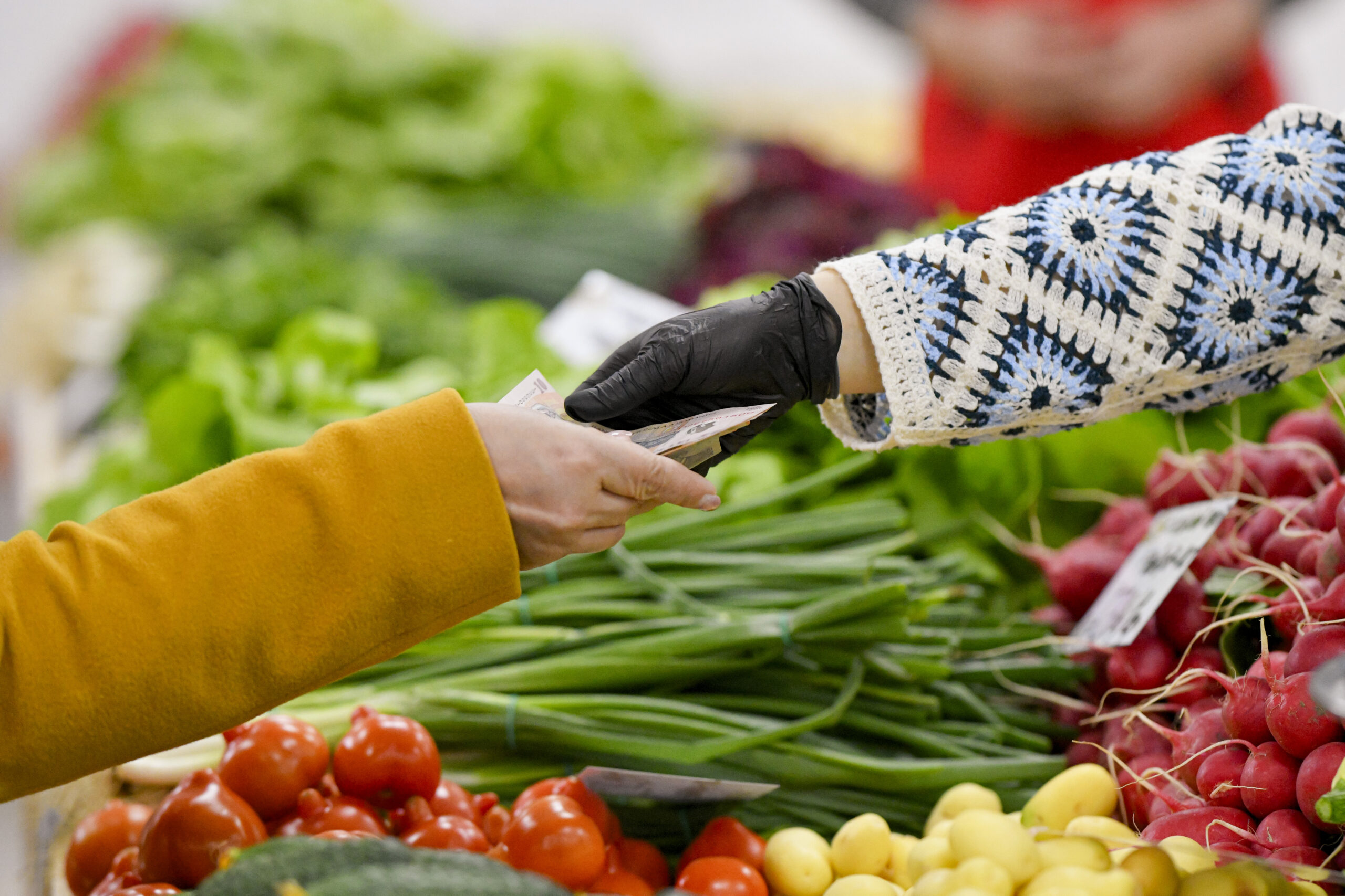 Romania fines 21 seed and crop-protection companies 83.2 million lei over price-fixing