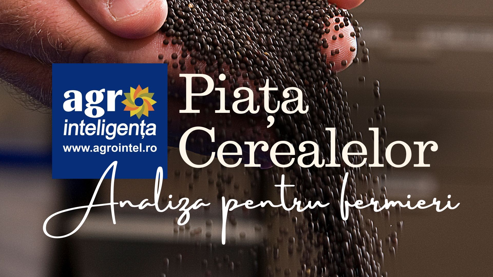 Romanian grain prices edge higher at Constanta as global markets remain under pressure
