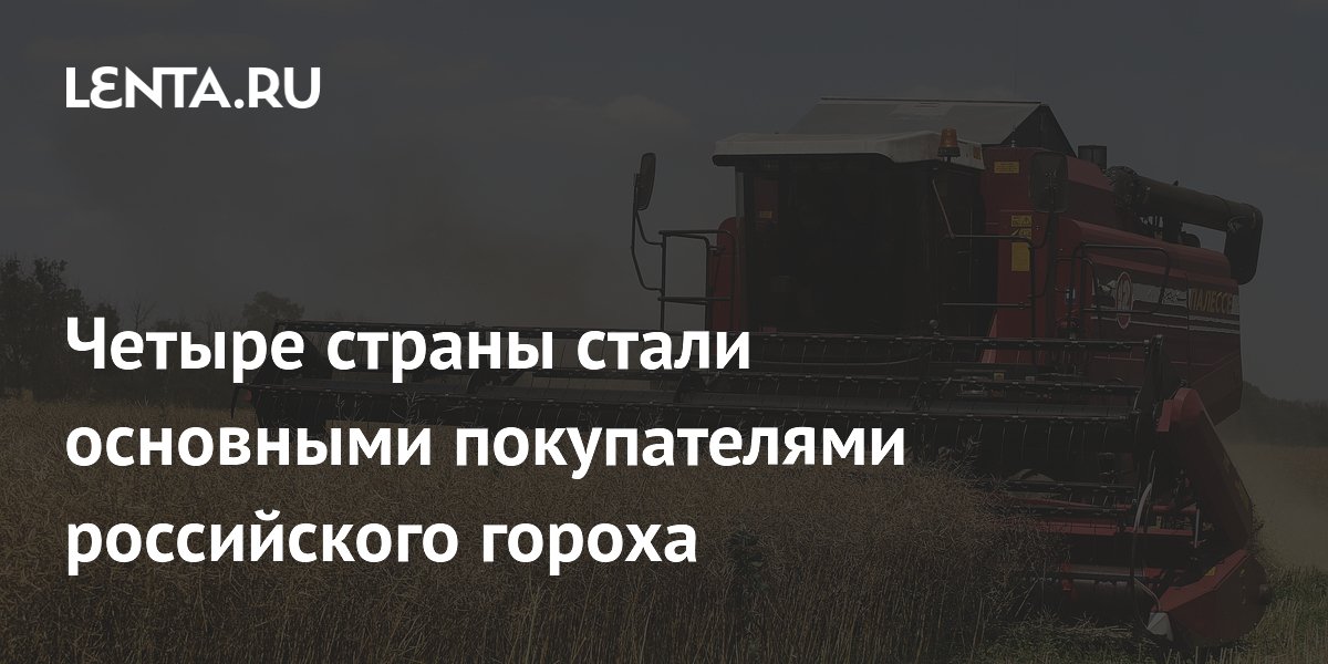 Russia captures 35% of global pea exports as four markets take 98% of shipments