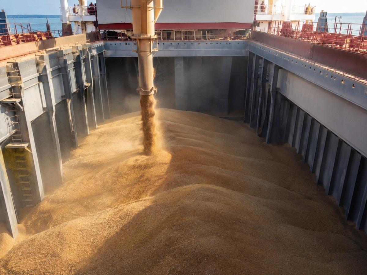 Russia more than doubles wheat and corn export duties as currency effect lifts rates