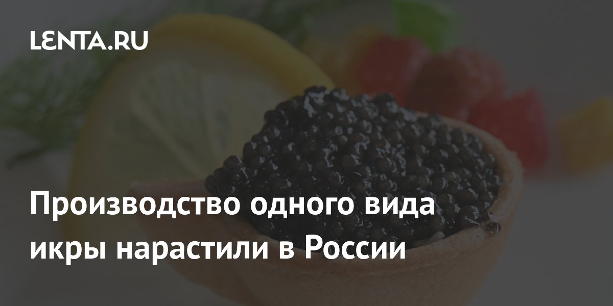 Russlands Zuchtkaviarproduktion steigt um 5 % auf 45 Tonnen