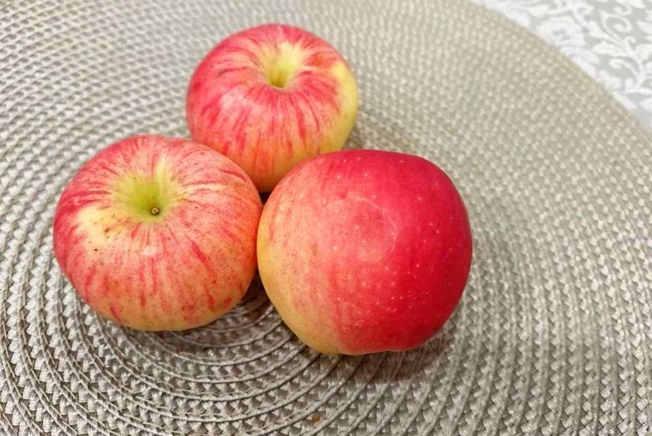 Russia Forecasts Pome Fruit Harvest to Reach 3.5 Million Tonnes in 2026