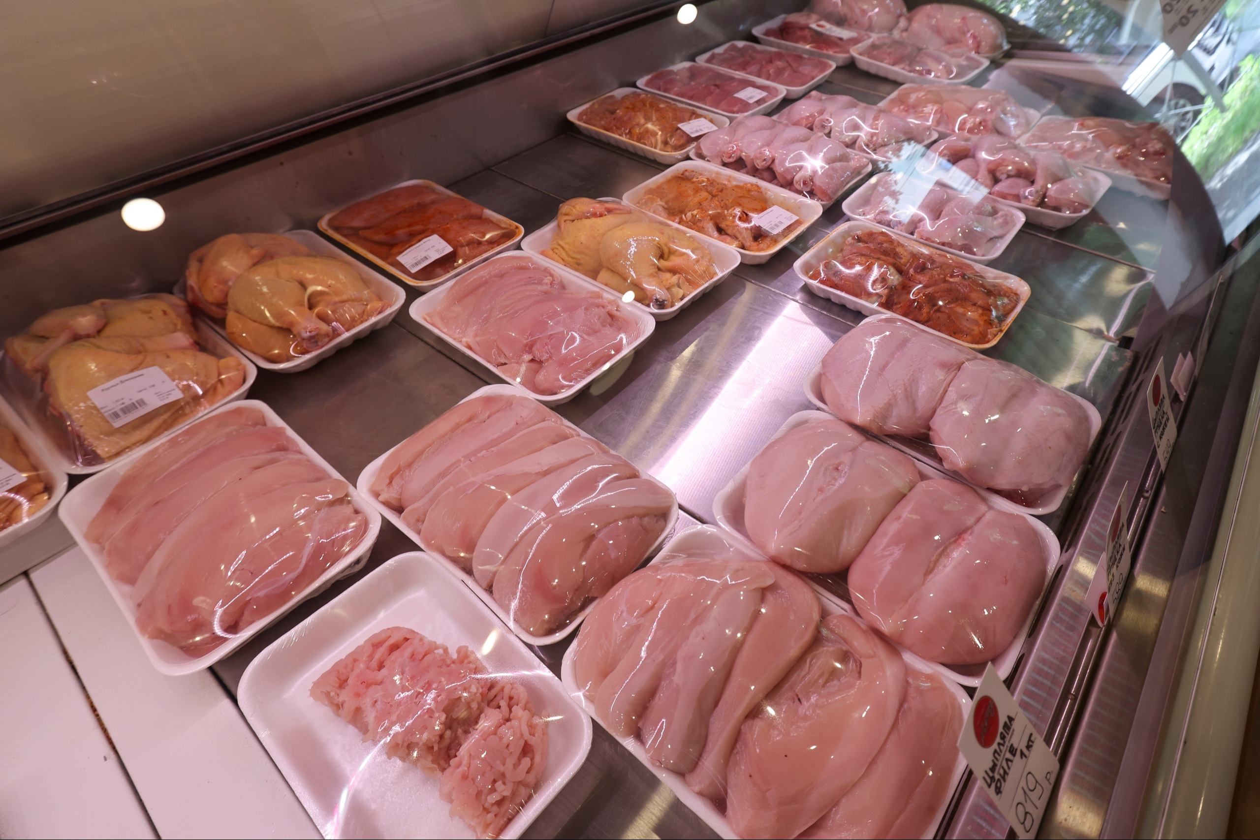 Russia halts transit of EU poultry meat after forged veterinary certificates case