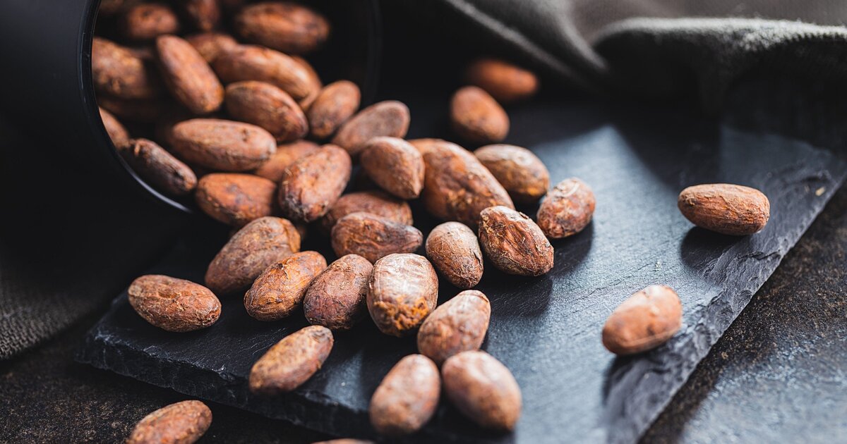 Russia receives first Brazilian cocoa bean shipment since 1999