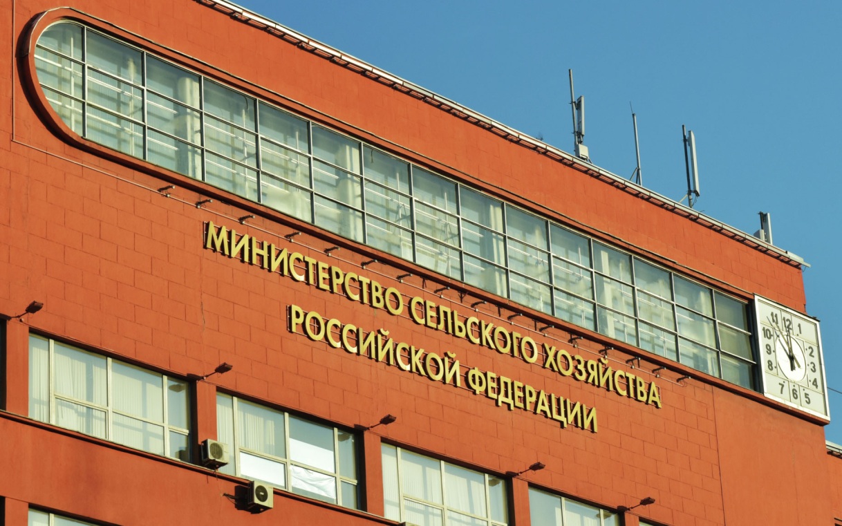 Rusia estudia suspender los aranceles a la exportación de trigo, cebada y maíz hasta 2026