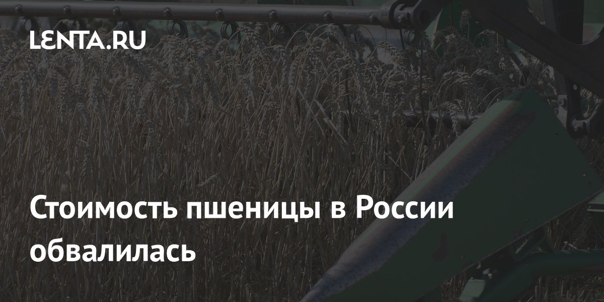 Russian grain prices fall as southern port disruptions curb exports
