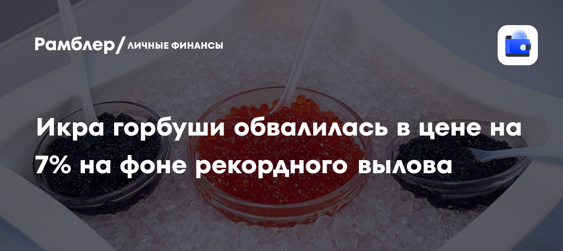 Russian pink salmon caviar prices fall 7% as Far East catch reaches 33,000 tonnes