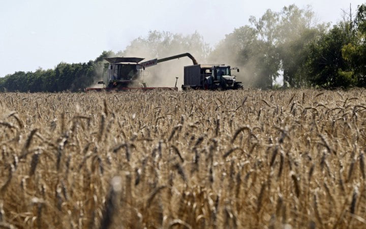 Russian strikes on Black Sea ports could cut Ukraine’s agricultural exports by 54%