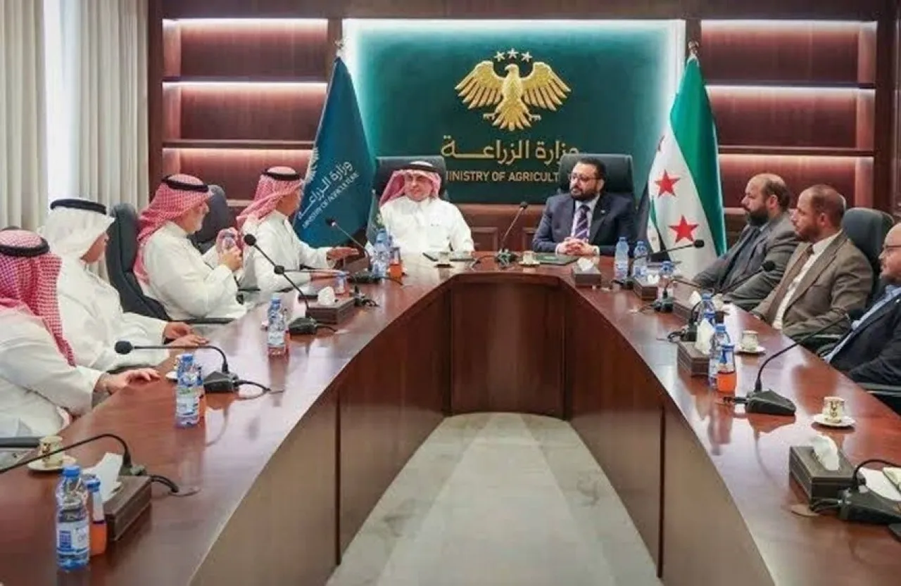 Saudi feed company studies 300,000-tonne annual production project in Syria