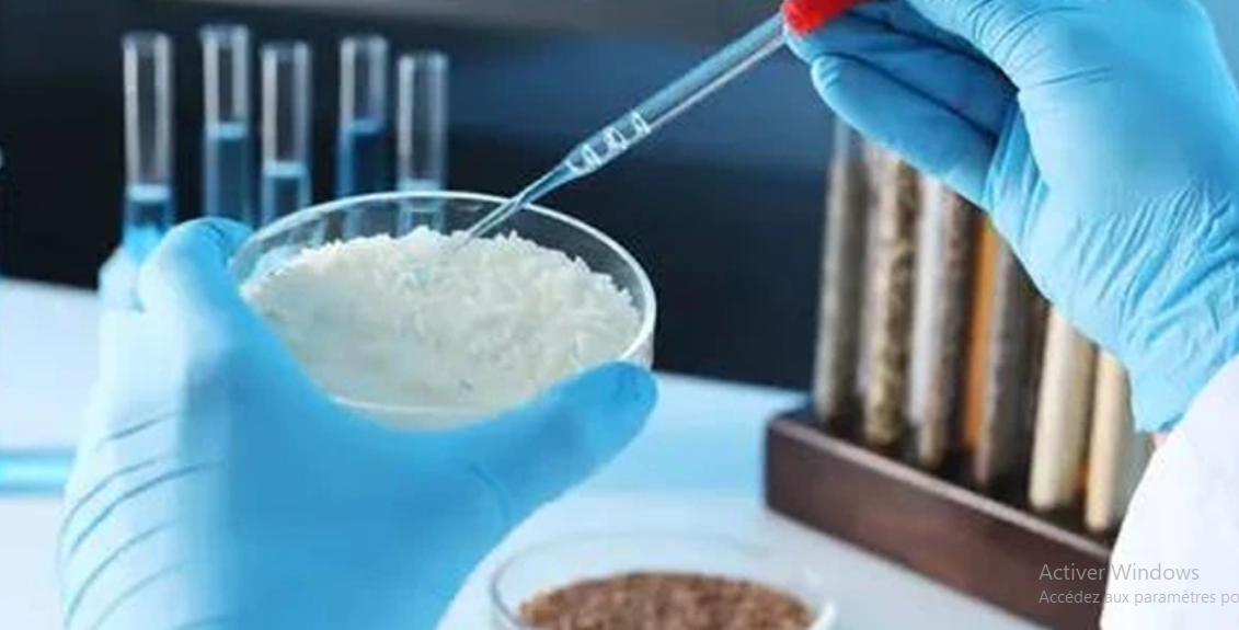 Senegal rice aflatoxin findings expose rift between laboratories and government