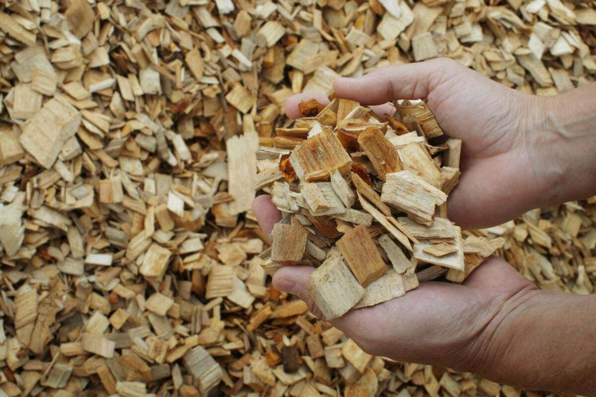 Softwood pulp prices expected to recover as supply tightens