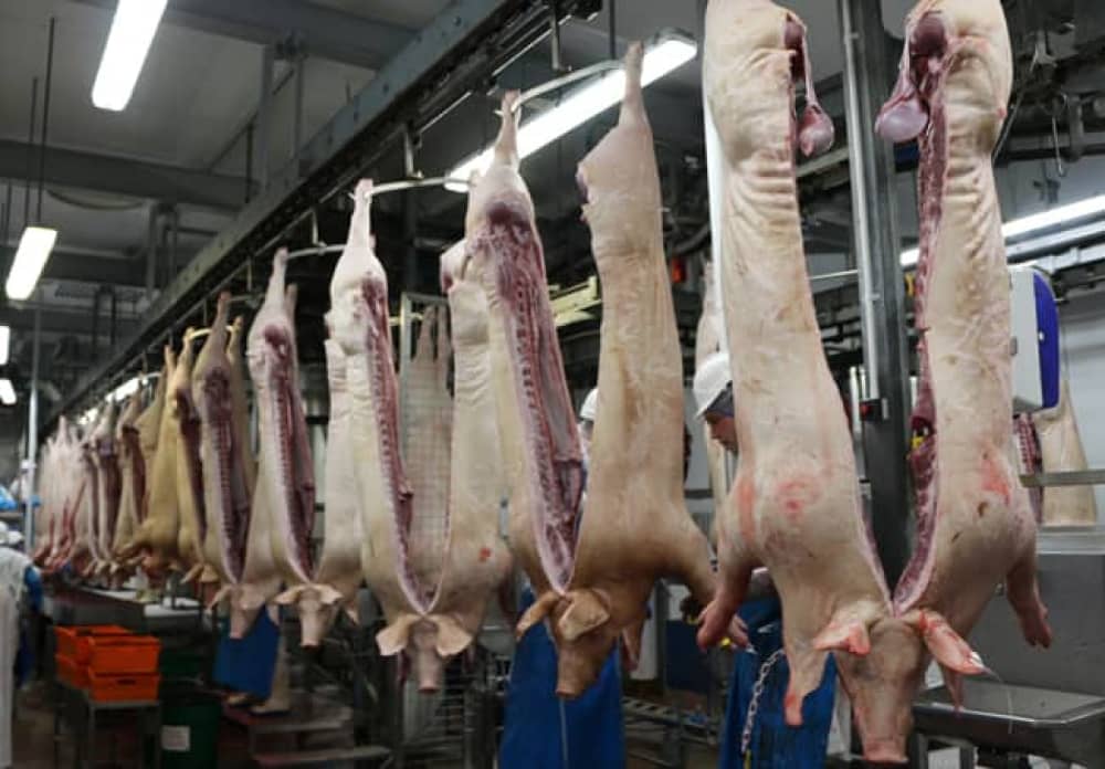 Spain’s meat production rises 3.8% to 4.16 million tonnes in first half of 2026