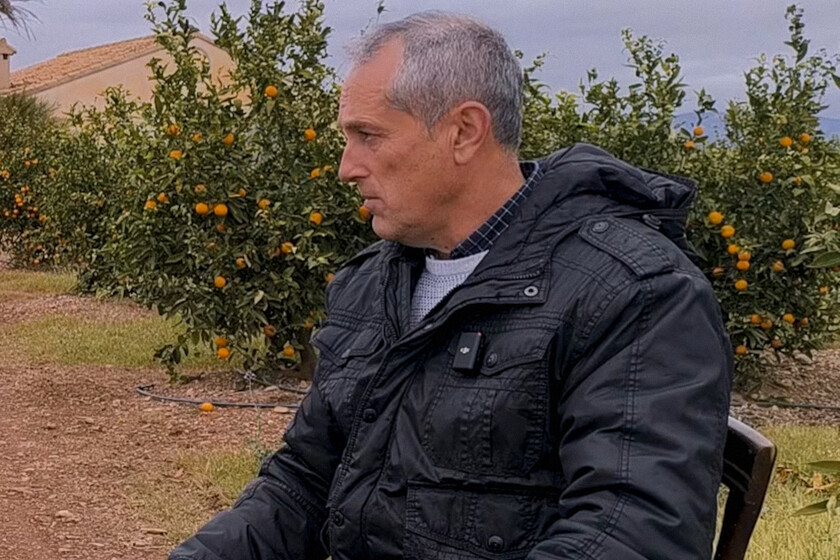 Spanish citrus grower says labor-cost gap with Egypt threatens competitiveness