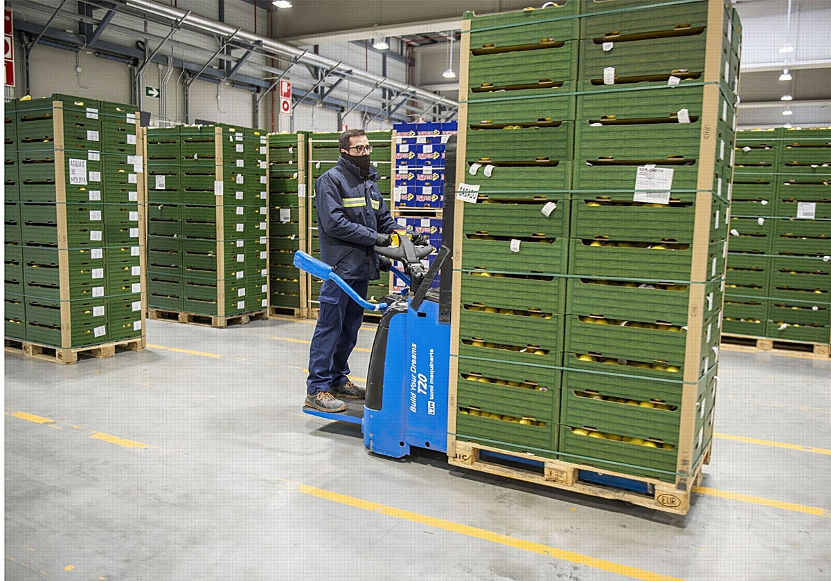 Spanish produce export value rises 5.8% as third-country imports accelerate