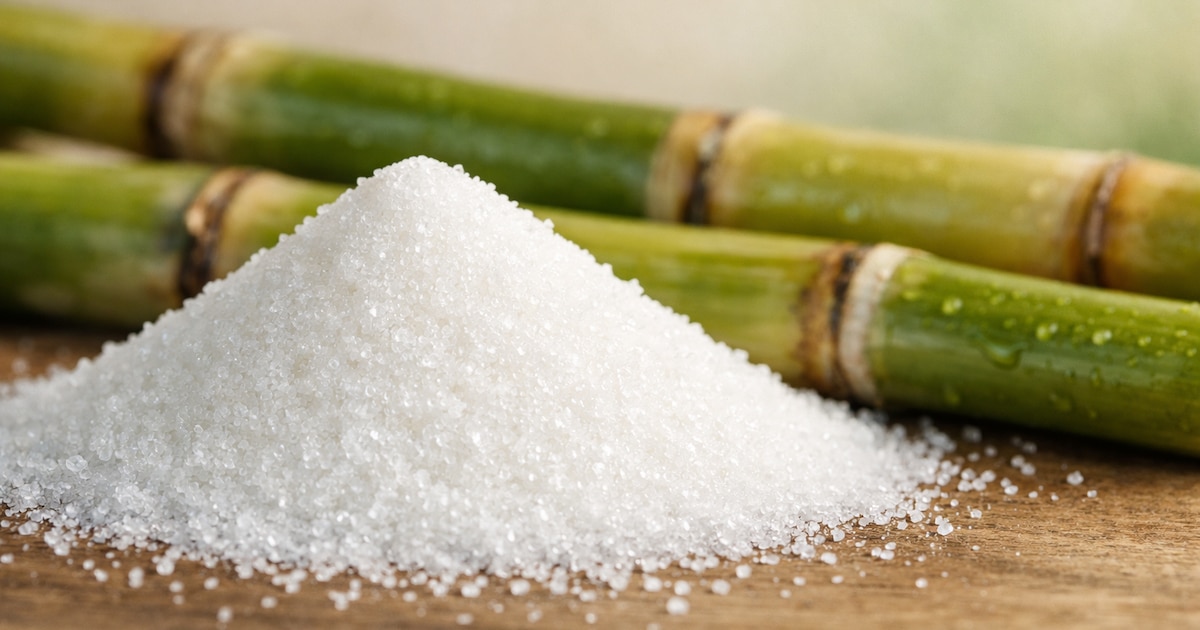 Sugar becomes El Salvador’s leading agroindustrial export in first half of 2026