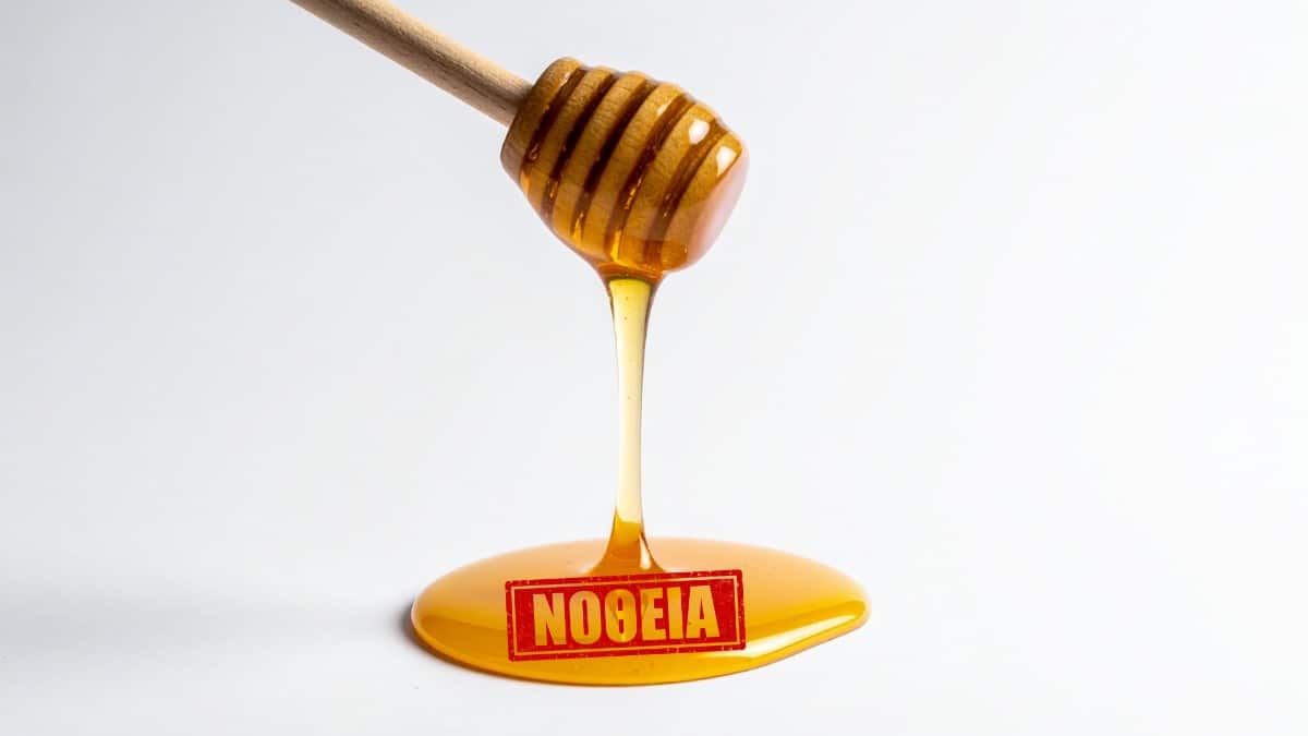 Testes suecos apontam anomalias em dois casos de mel de origem grega
