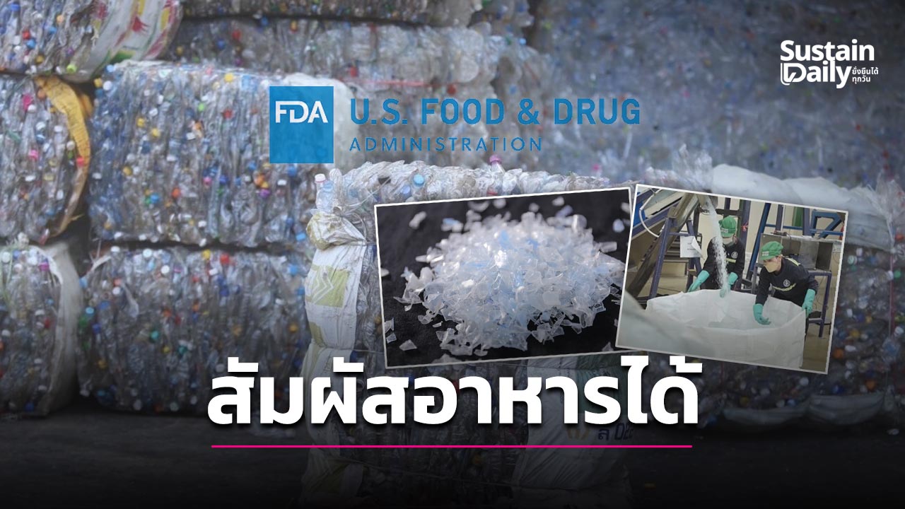 Thai Plastic Recycle Group erhält US-FDA-Freigabe für rPET im Lebensmittelkontakt