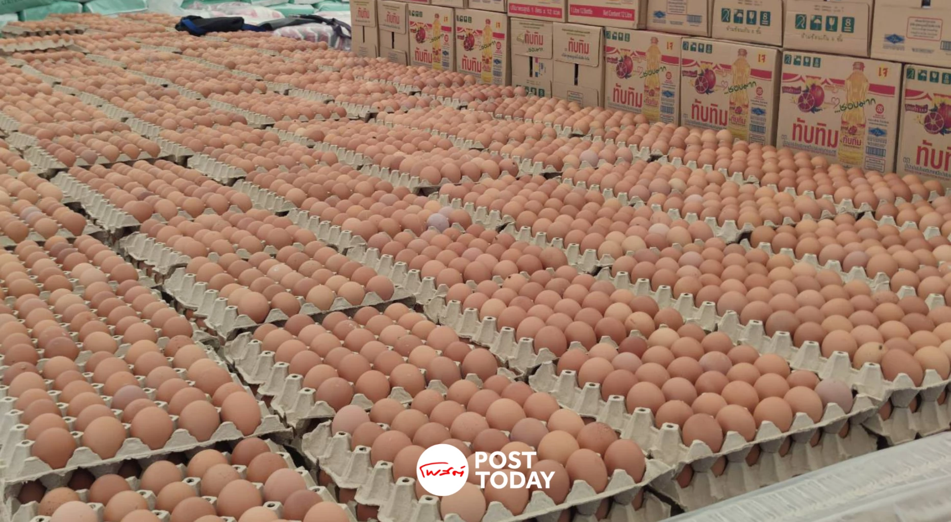 Thailand opens nationwide discounted egg sales after farm-gate price rises to 4.00 baht