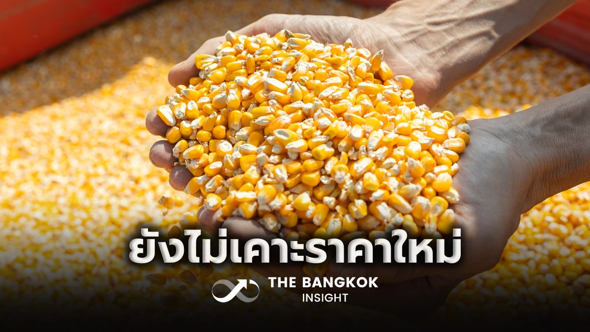 Thailand extends feed corn price scheme as proposed increase stalls