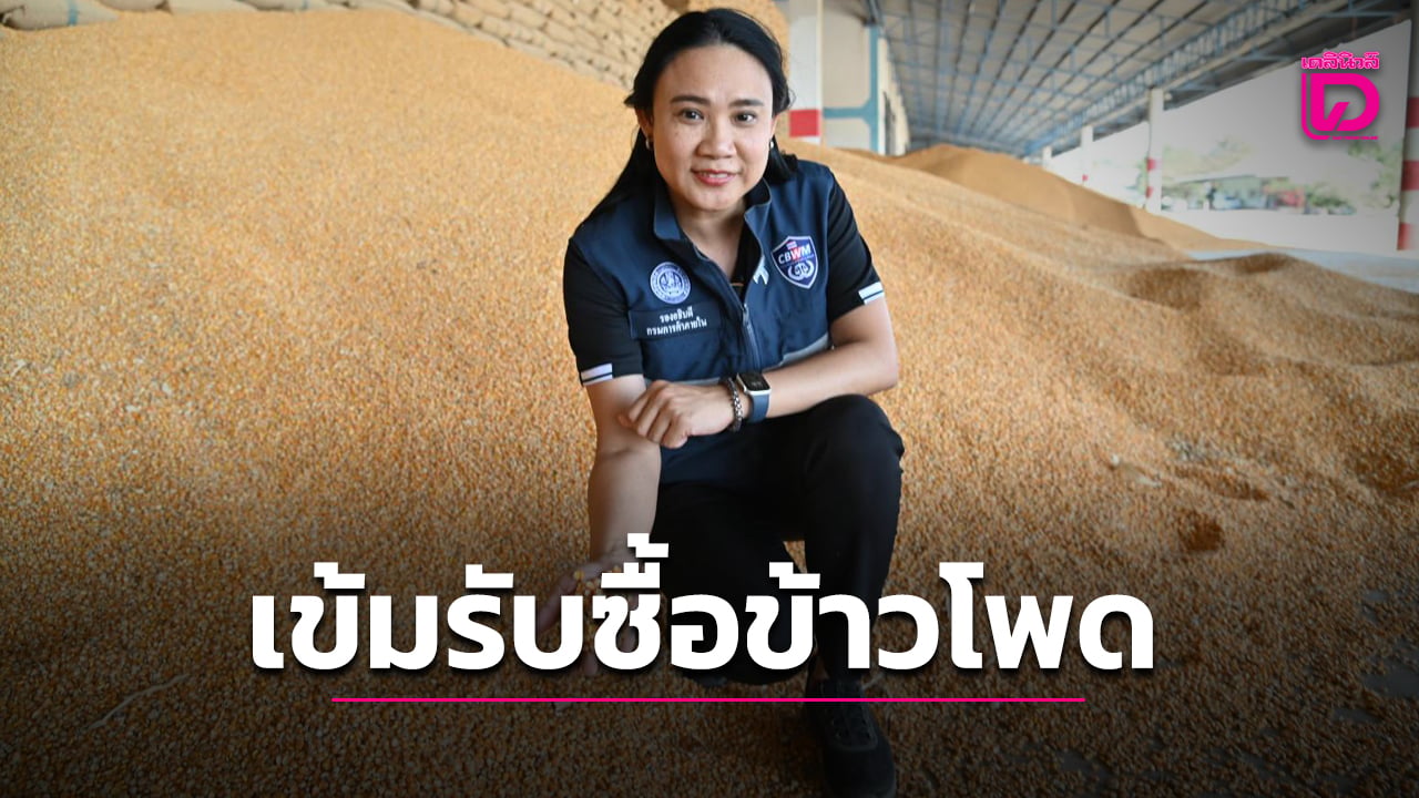 Thailand steps up inspections of corn buying stations ahead of major harvest arrivals