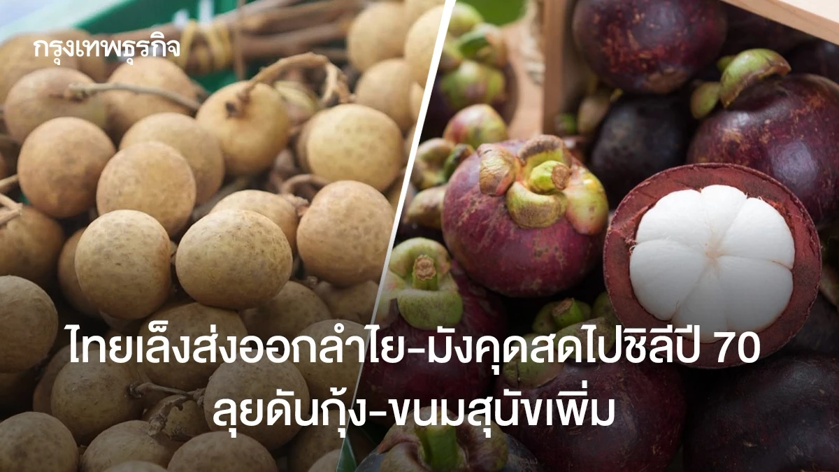 Thailand targets 2027 access to Chile for fresh longan and mangosteen