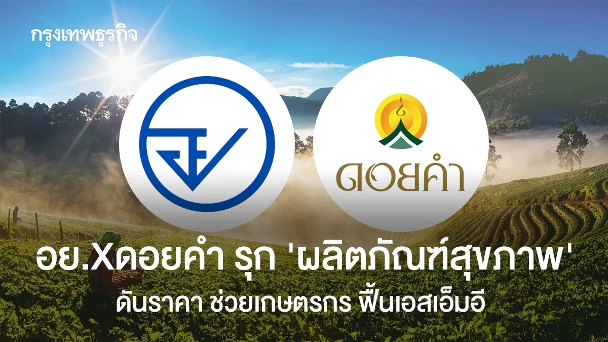 Tailandia procesa excedentes de fruta para mercados de exportación de alto poder adquisitivo