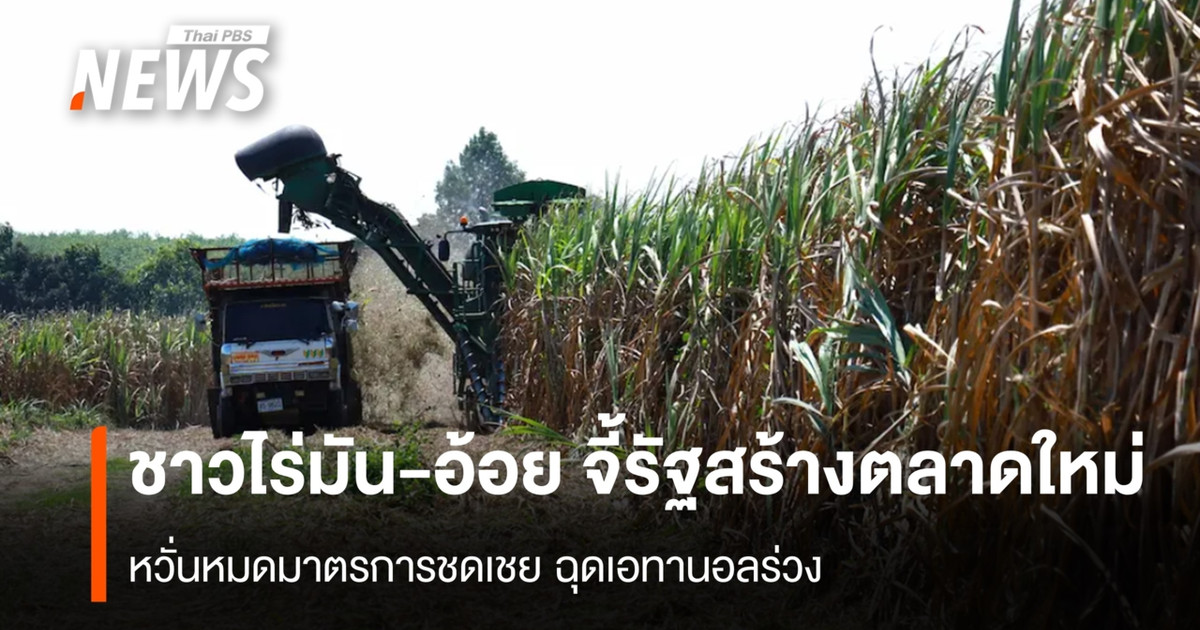 Thailand Weighs 2026–2030 Biofuel Plan as E20 Support Nears Expiry
