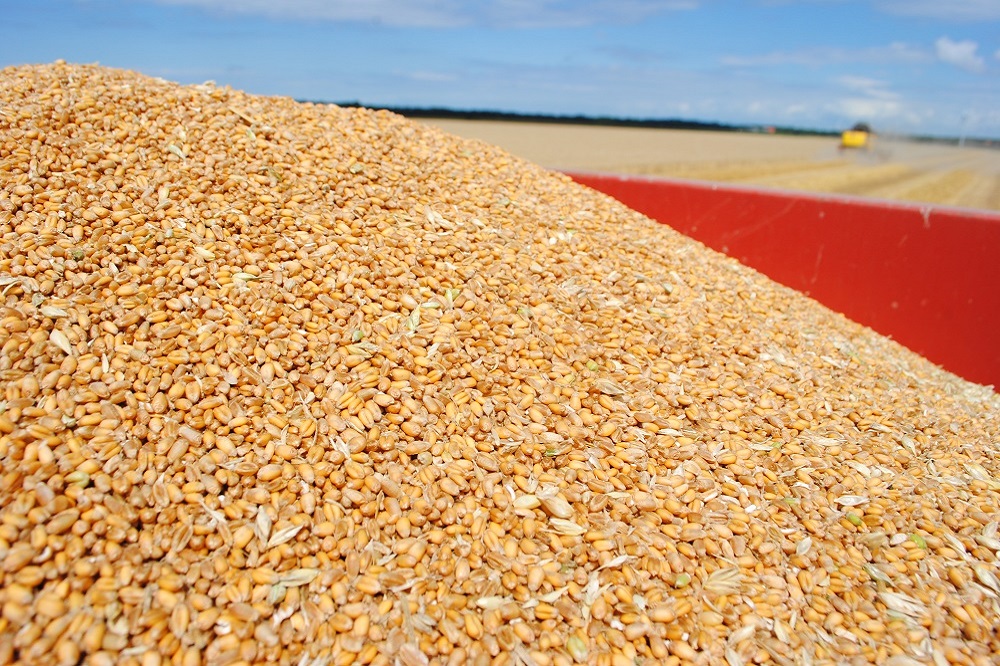 Tighter supply and weaker harvest outlooks lift European feed ingredient prices