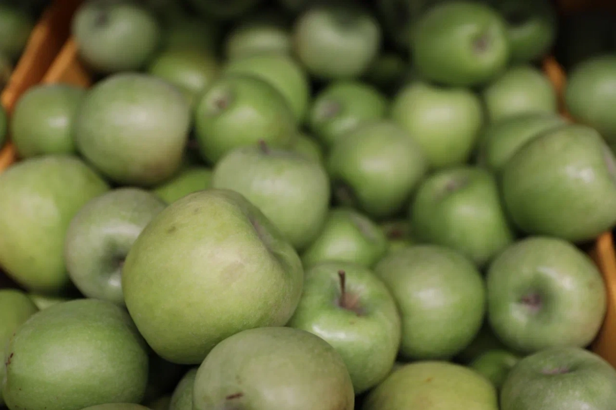 Turkey’s apple exports to Russia rise 3.8-fold to $2.2 million in June