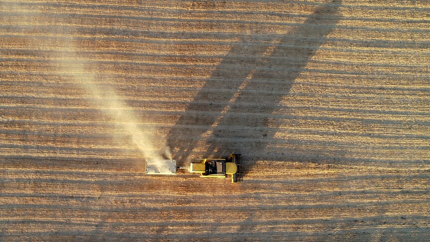 Turkey forecasts 50% rebound in barley output to 9 million tonnes