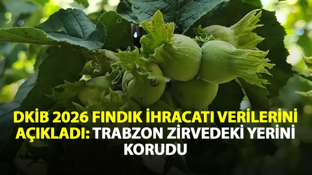 Turkey’s hazelnut export volume falls 23% as revenue rises 21% in January-July 2026