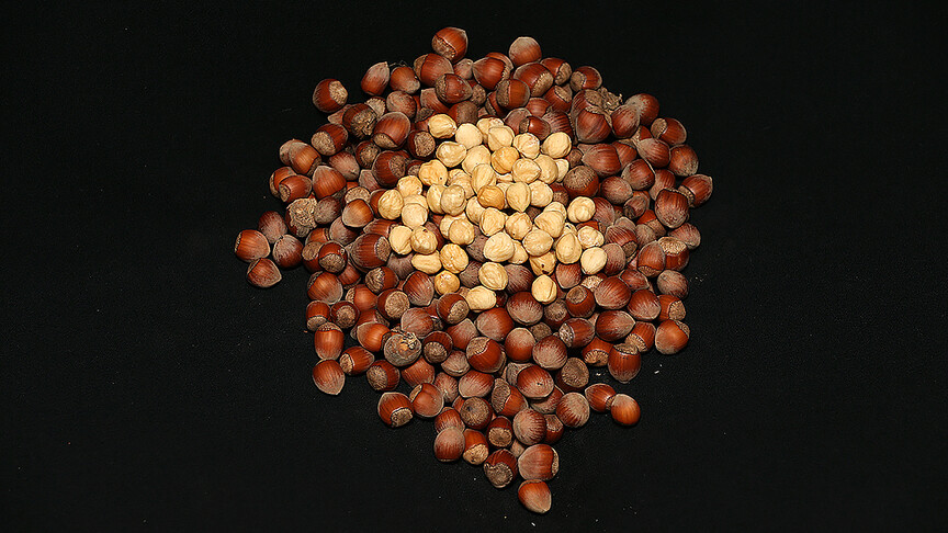 Turkey earns $2.4 billion from 186,400 tonnes of hazelnut exports in 11 months