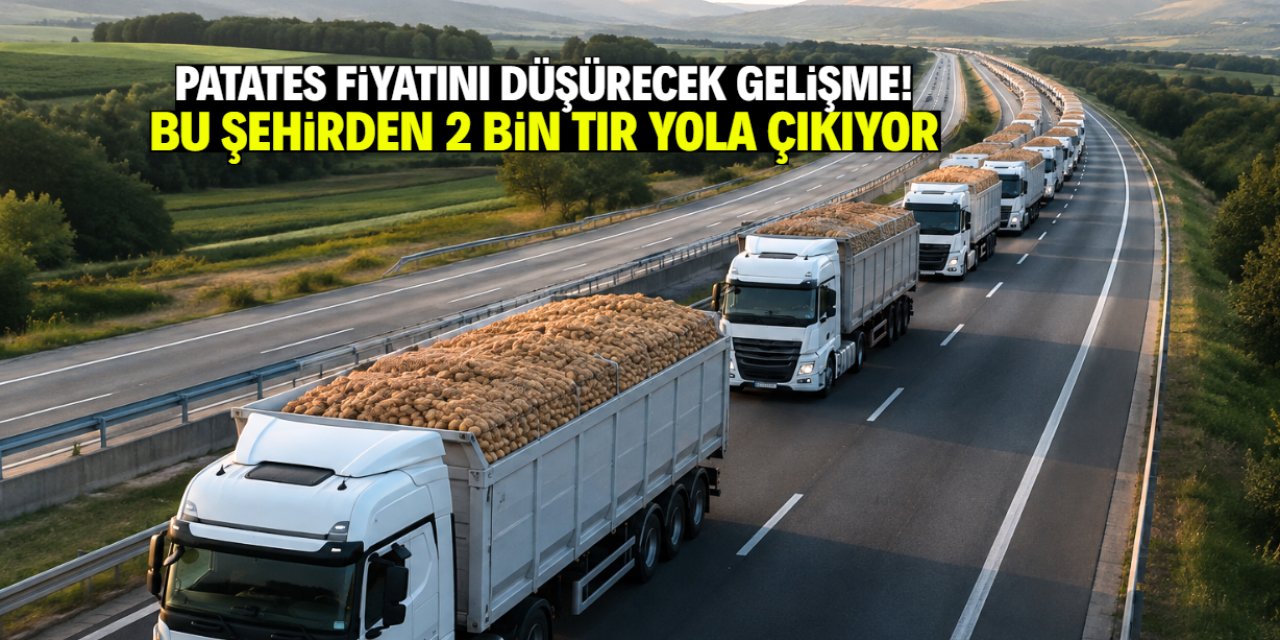 Turkey mobilizes 2,000 truckloads of potatoes to ease market prices