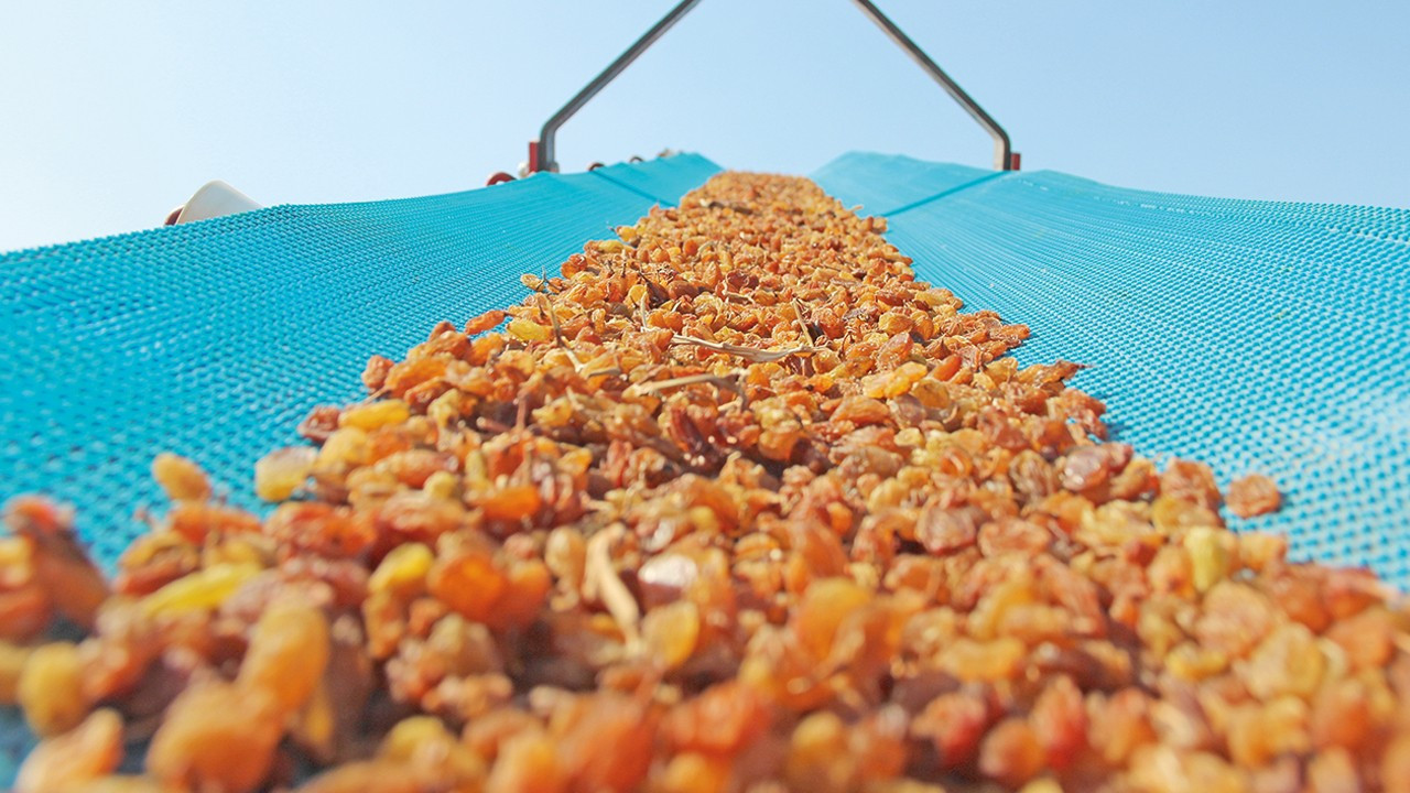Turkey seeks to lift raisin consumption as Europe absorbs most of Manisa’s output